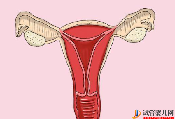 子宮內(nèi)膜厚對試管的影響別忽視,要不要刮宮?(圖2) 子宮內(nèi)膜厚對試管的影響別忽視,要不要刮宮?(圖2)