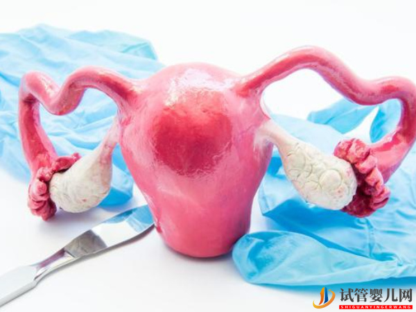 子宮肌瘤最怕這三種水果 快快吃起來(圖2) 子宮肌瘤最怕這三種水果 快快吃起來(圖2)