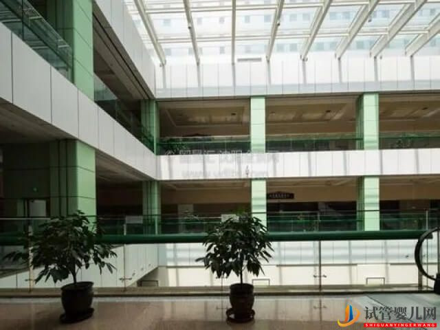 重慶哪里可以供卵做三代試管？(圖1)