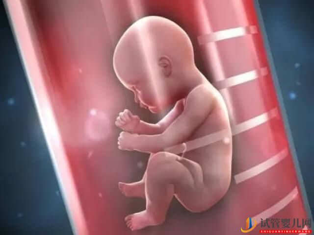 重慶試管嬰兒生男孩的總費用是多少？(圖2)