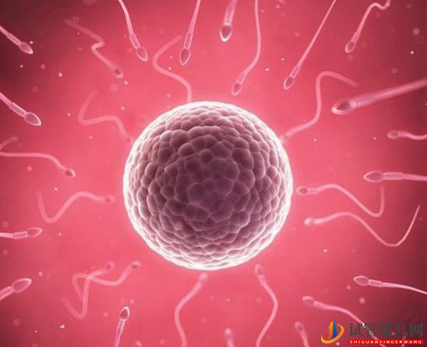 國內精子庫精子做試管費用明細(圖1)