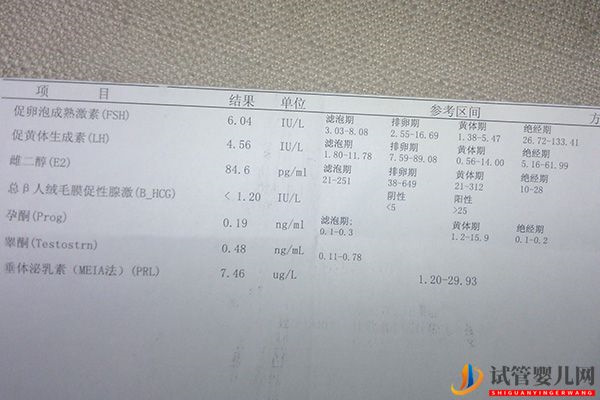 試管降調28天成功率高不高，達到這些標準更易懷孕(圖3)