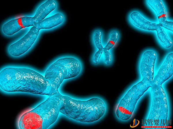 4號染色體異常的后果 - 缺失綜合征、三體重復的原因分析(圖1)