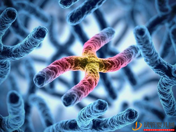 3號染色體異常會怎樣 - 基因微缺失、微重復相關(guān)病癥導航(圖2) 3號染色體異常會怎樣 - 基因微缺失、微重復相關(guān)病癥導航(圖2)