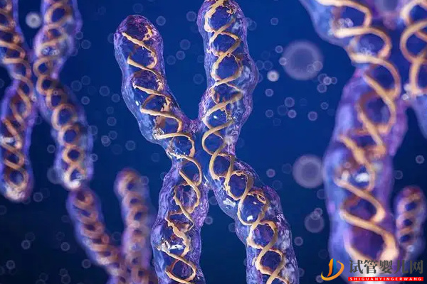 2號染色體異常的后果 - 三體、部分缺失胎兒癥狀表現整理(圖2)