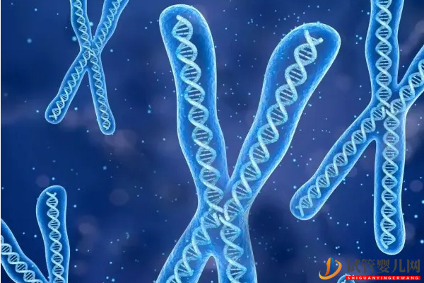 5號(hào)染色體決定什么 - 短臂缺失、偏多重復(fù)對(duì)胎兒的癥狀表現(xiàn)(圖2) 5號(hào)染色體決定什么 - 短臂缺失、偏多重復(fù)對(duì)胎兒的癥狀表現(xiàn)(圖2)