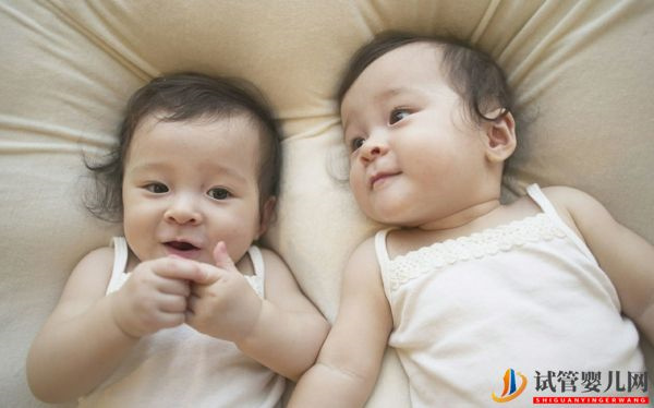 試管龍鳳胎費用和單胎大同小異，但成功率主要看兩點(圖1)