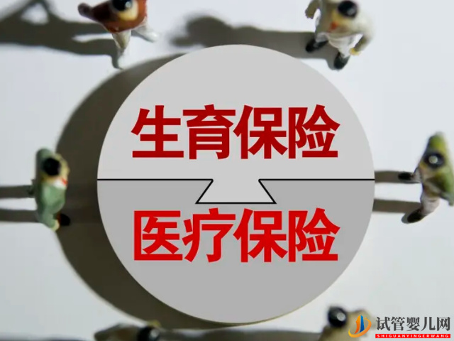 武漢生育獎勵假、陪產假匯總(圖3)