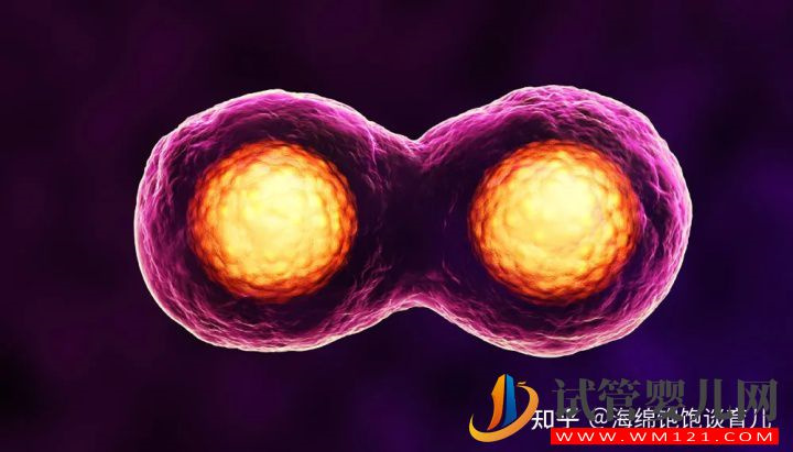 試管胚胎不是你想移植就能移,需要滿足這些條件!(圖1)