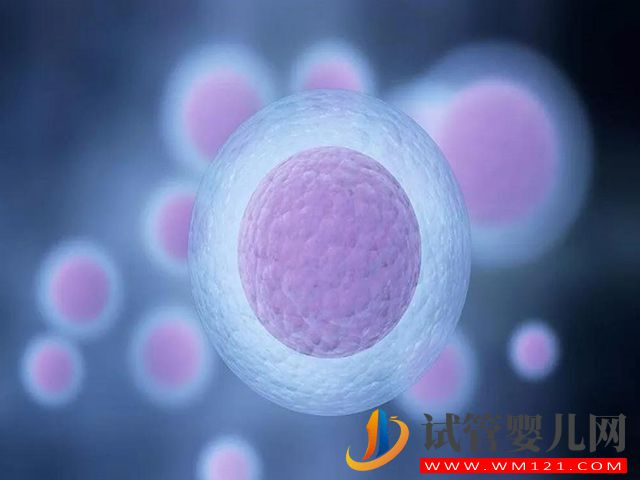 t卵p懷分手后孩子歸誰？(圖2)