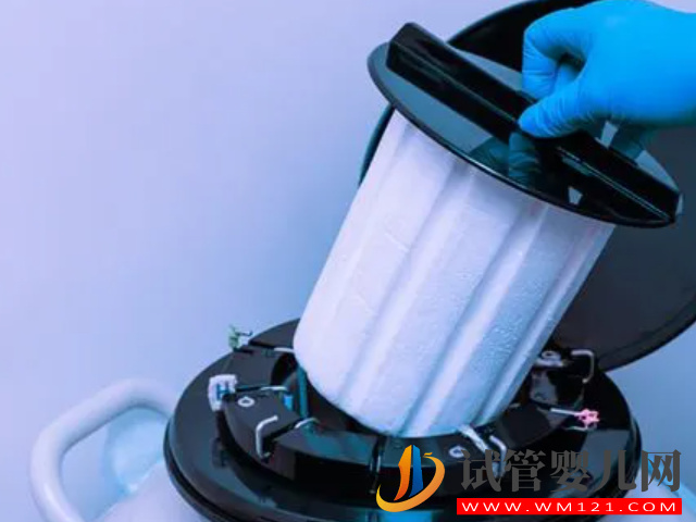 卵子儲存和胚胎儲存別混為一談，作用和適合人群都不同(圖2)