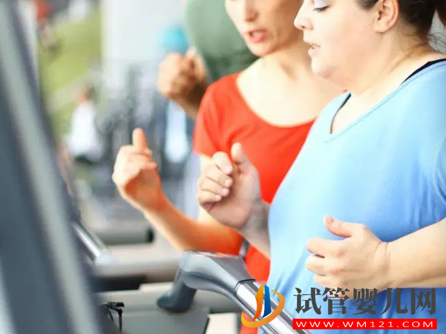 做試管嬰兒女性發(fā)胖真相來了,真不是促排卵藥物惹的“禍”(圖3) 做試管嬰兒女性發(fā)胖真相來了,真不是促排卵藥物惹的“禍”(圖3)