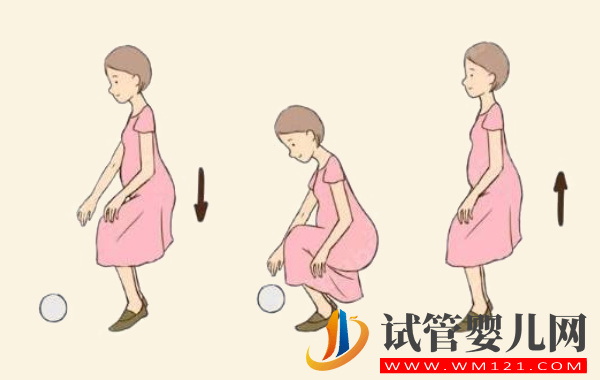 試管移植后彎腰撿東西影響不大：注意幅度當心胚胎被擠壓(圖2)