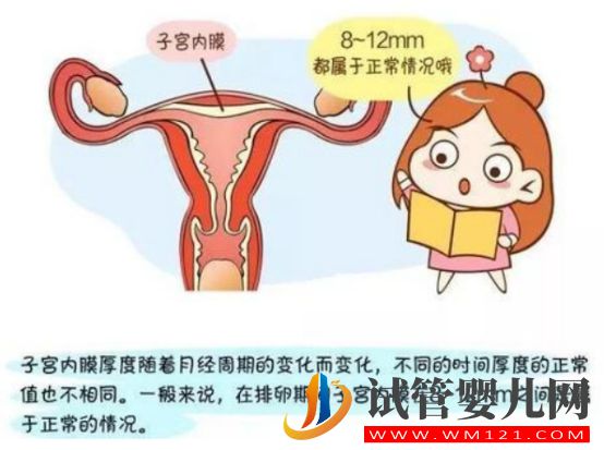 試管嬰兒移植前如何選擇內膜準備方案各方案有哪些優點(圖1)