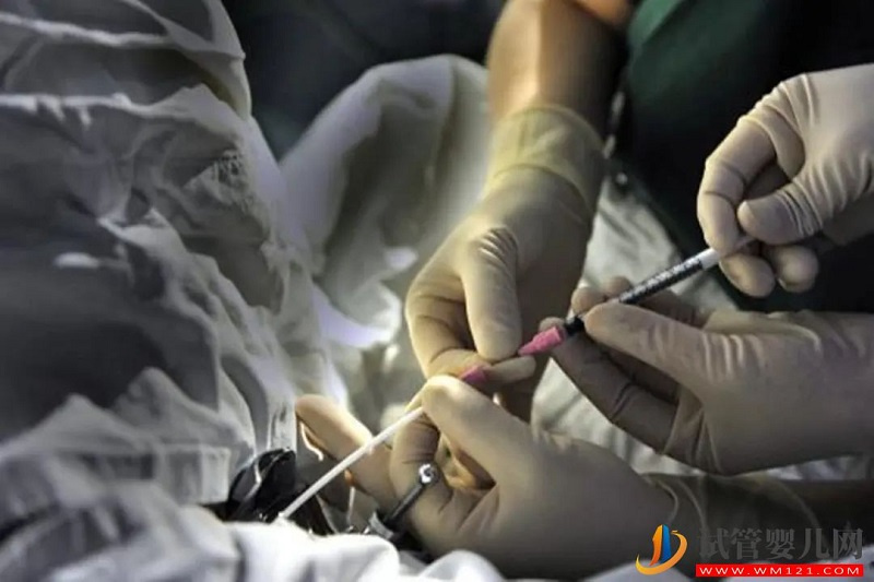 試管嬰兒進醫保,湖南_盡快跟進(圖3) 試管嬰兒進醫保,湖南_盡快跟進(圖2)