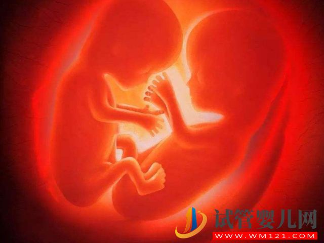 做試管詳細總費用清單，單胎雙胎價格居然一樣(圖4)