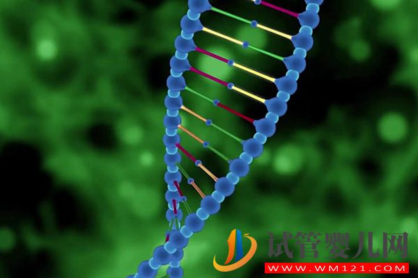 詳解女方羅氏易位遺傳規律，生育男孩也有概率被遺傳(圖3)