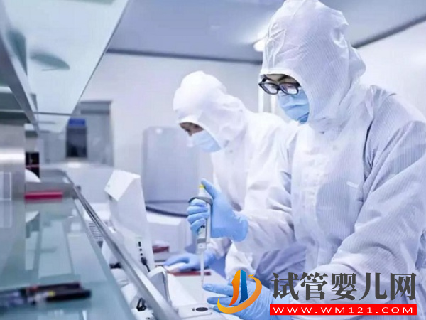 能養囊成功的都是優質胚胎不可信，質量差的同樣有幾率(圖2)