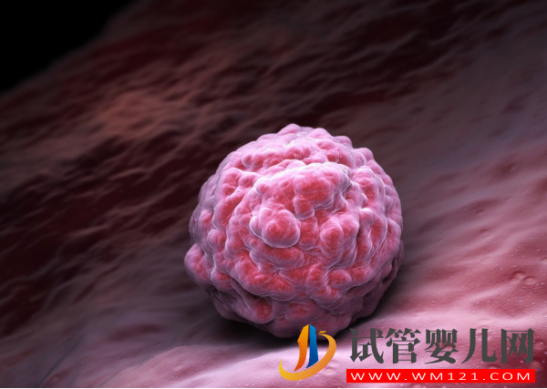 細數胚胎養囊失敗的三大原因，醫院技術不要好質量高也白搭(圖1)