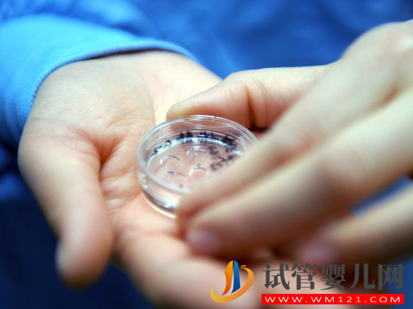 細數胚胎養囊失敗的三大原因，醫院技術不要好質量高也白搭(圖2)