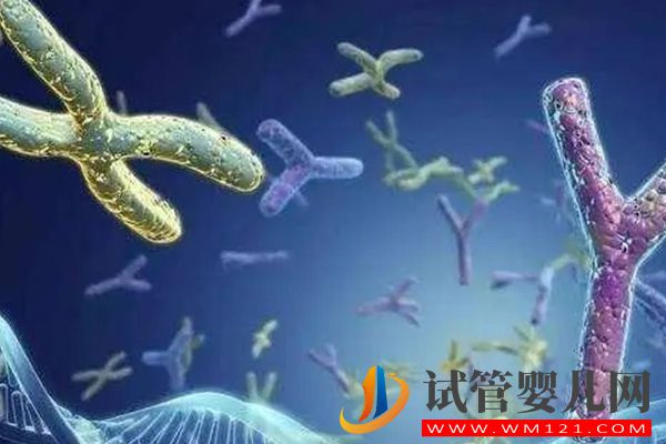 52歲做借卵試管成功率在這個數，附供卵案例和醫院名單(圖3)