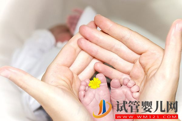 試管嬰兒流程步驟說明(圖4)