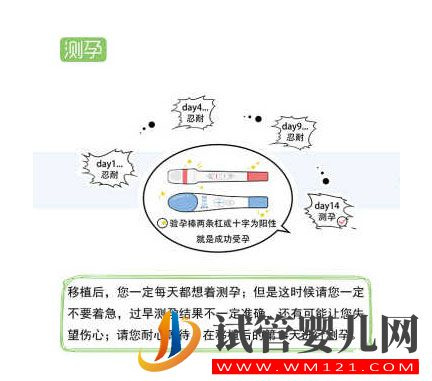 試管嬰兒流程步驟說明(圖9)