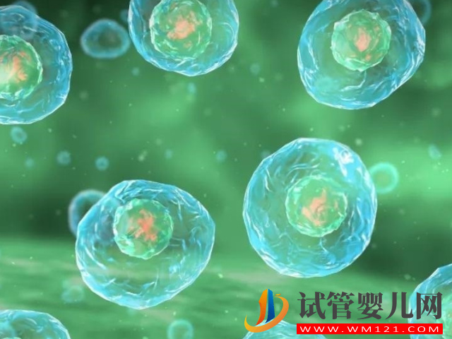 卵泡穿刺手術過程及費用詳解，不同醫院差異化較大(圖1)