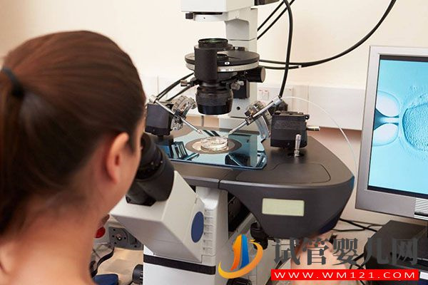 供精人工授精要二胎檢查項目匯總,是否查染色體看完便知(圖1) 供精人工授精要二胎檢查項目匯總,是否查染色體看完便知(圖1)