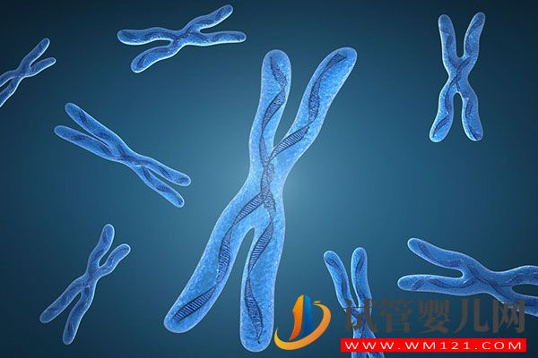 供精人工授精要二胎檢查項目匯總,是否查染色體看完便知(圖3) 供精人工授精要二胎檢查項目匯總,是否查染色體看完便知(圖3)