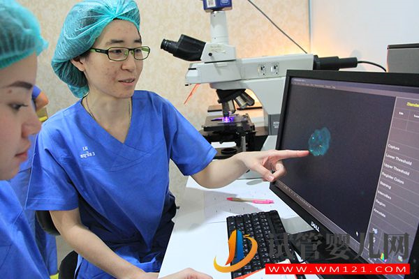 第三代試管嬰兒條件和要求匯總，這7種情況都可以治療(圖1)