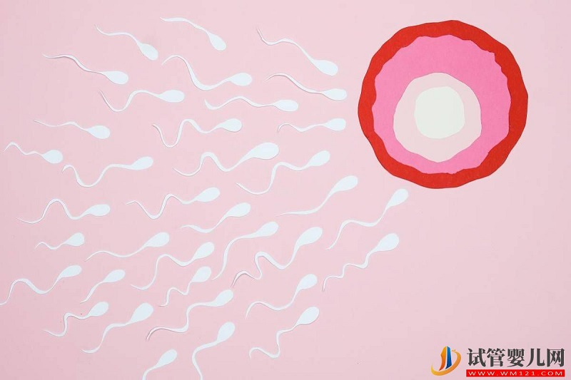 為什么她的試管嬰兒新鮮周期可以移植,而我的卻不能移植呢? (圖1) 為什么她的試管嬰兒新鮮周期可以移植,而我的卻不能移植呢? (圖1)