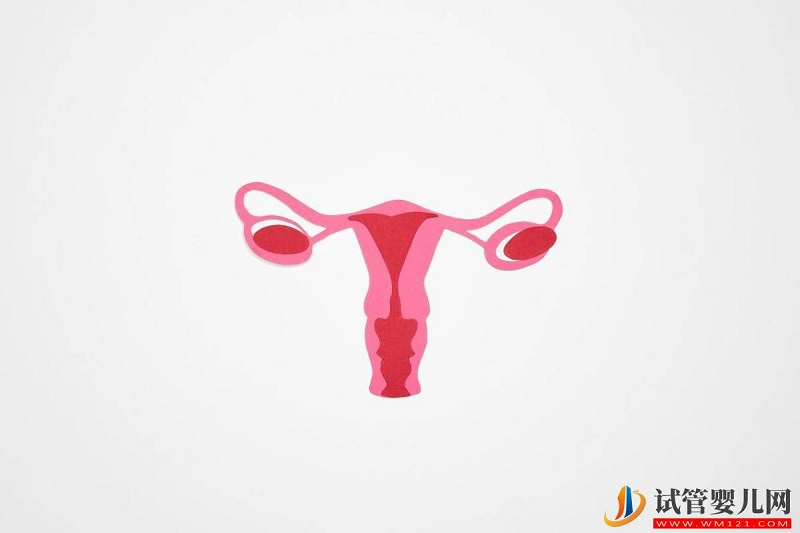 為什么她的試管嬰兒新鮮周期可以移植,而我的卻不能移植呢? (圖2) 為什么她的試管嬰兒新鮮周期可以移植,而我的卻不能移植呢? (圖2)