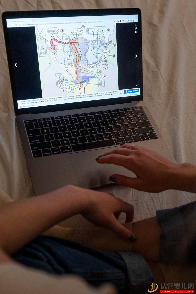 為什么她的試管嬰兒新鮮周期可以移植,而我的卻不能移植呢? (圖4) 為什么她的試管嬰兒新鮮周期可以移植,而我的卻不能移植呢? (圖4)