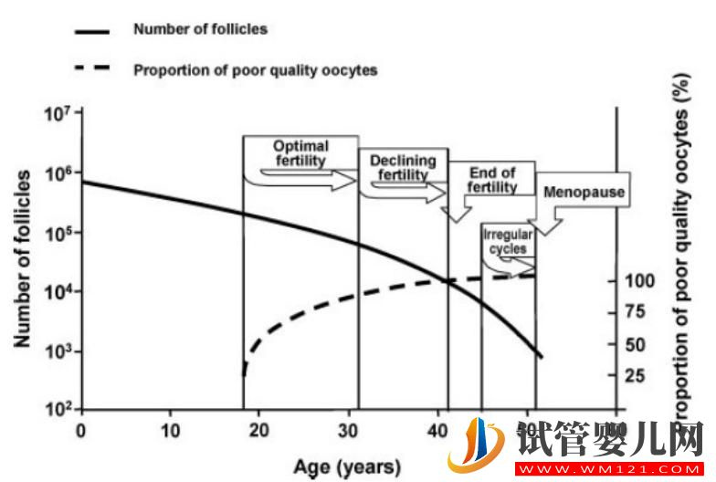 試管嬰兒技術走到了哪一步？專家解答→(圖2)