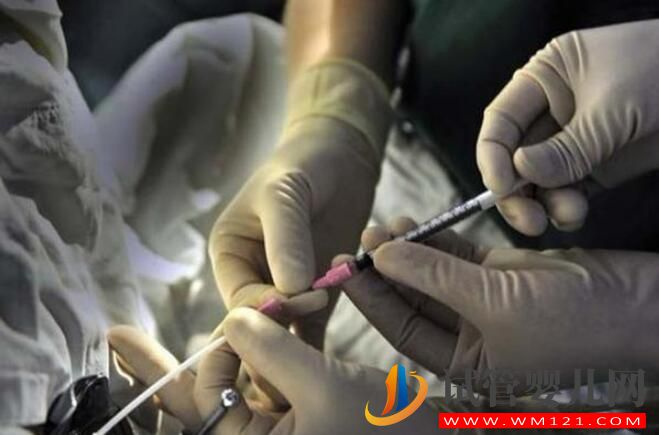 什么季節(jié)做試管嬰兒受孕最佳時間？(圖1)