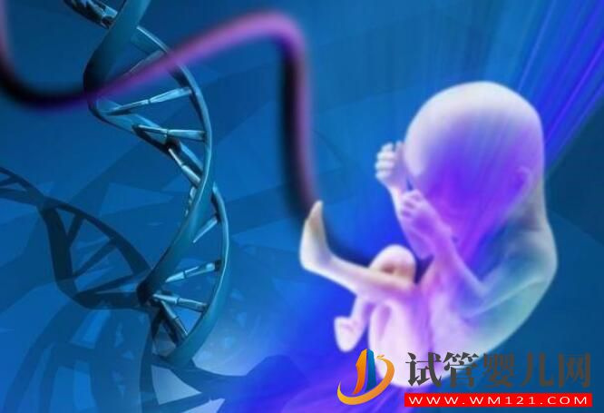 在成都試管孕期中，這五項的重要性你必須要知道！(圖1)