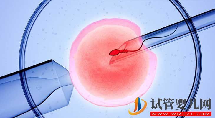 35歲試管嬰兒的成功率有多少？(圖3)
