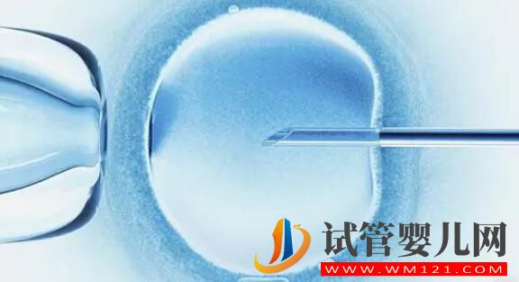 成都試管女性冷凍卵子必知4個知識(圖1) 女性冷凍卵子必知7個知識(圖1)