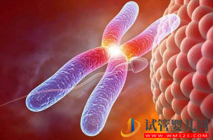 做第三代試管嬰兒要什么條件？(圖1)