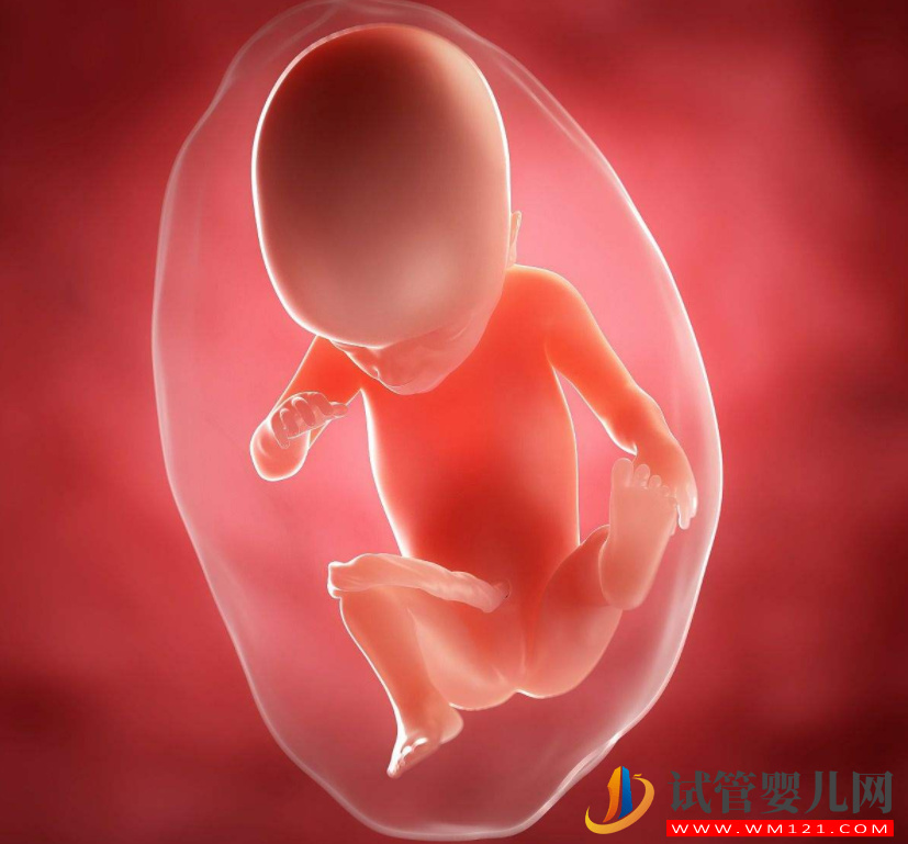 促排方案科普(圖1)