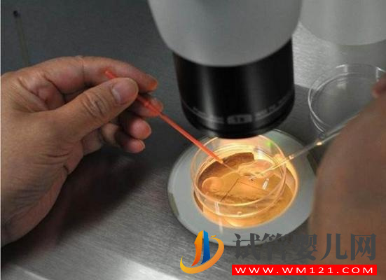 你們有沒有丟過(guò)胚胎? 做試管嬰兒的夫妻請(qǐng)注意:你們有沒有丟過(guò)胚胎?(圖1)