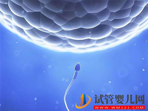 輸精管堵塞的癥狀和治療方法(圖1)