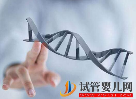 國內朋友去泰國做試管嬰兒所需的手續有哪些？(圖1)