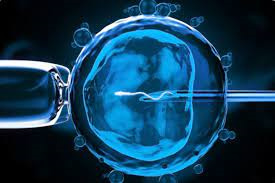 試管嬰兒取卵前男方注意事項 試管取卵前的注意事項(圖1) 日喀則試管嬰兒取卵前男方注意事項 試管取卵前的注意事項(圖1)