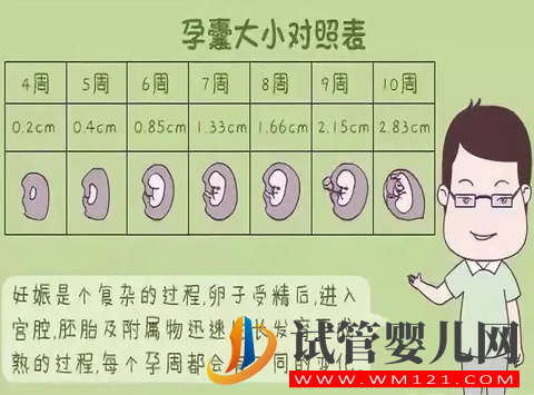 孕囊形狀看男女(超準)有科學依據嗎(圖2)