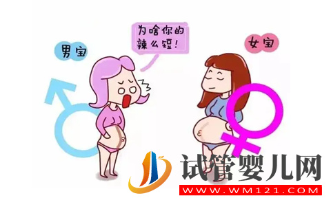 孕期懷男孩有什么特征最準(圖2)