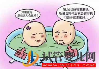三門峽試管胚胎養囊成功的都是優質胚胎嗎(圖2)