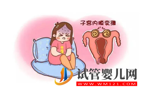 試管胚胎移植前內膜薄怎么調理(圖2)