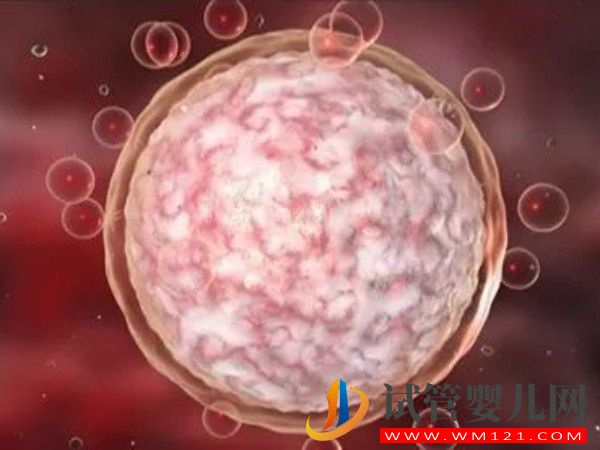 借用別人的卵泡在私立醫院做試管嬰兒費用多少？(圖1)